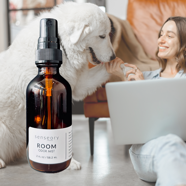 Room Odor Mist