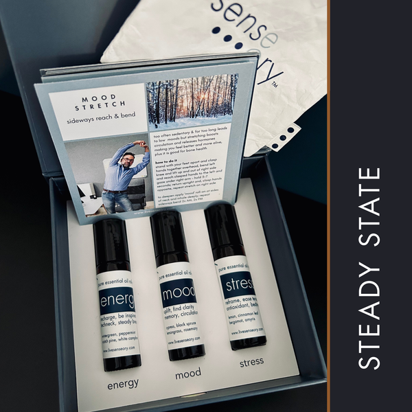 SALE.  Steady State Box (Old Label) $20