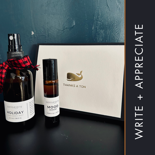 BUNDLE.  Write + Appreciate - Seasonal $28